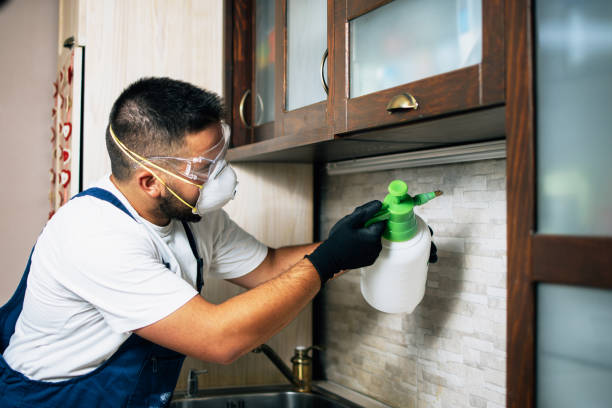 Best Best Pest Control Companies  in New Castle, IN