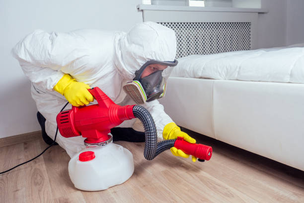 Best Flea Control Services  in New Castle, IN