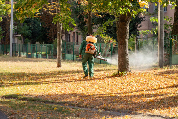 Best Exterminator Services  in New Castle, IN