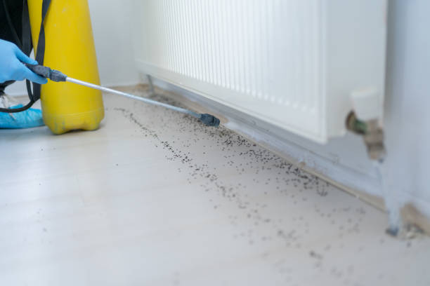 Best Pest Inspection Near Me  in New Castle, IN