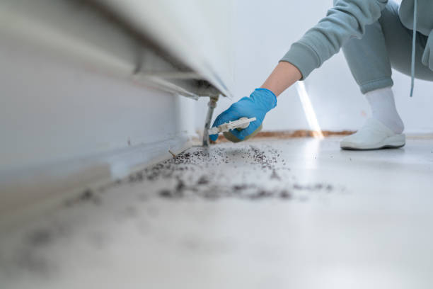 Best Pest Removal Services  in New Castle, IN